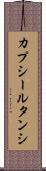 カプシールタンシ Scroll