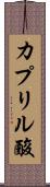 カプリル酸 Scroll