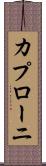 カプローニ Scroll