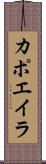 カポエイラ Scroll