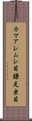 カマアシムシ目 Scroll