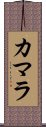 カマラ Scroll