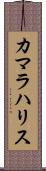 カマラハリス Scroll