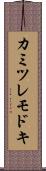 カミツレモドキ Scroll