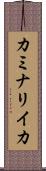 カミナリイカ Scroll