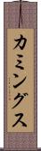 カミングス Scroll