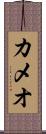 カメオ Scroll