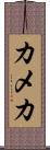 カメカ Scroll
