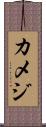 カメジ Scroll