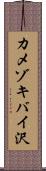 カメゾキバイ沢 Scroll