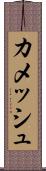 カメッシュ Scroll