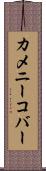 カメニーコバー Scroll