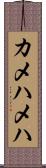 カメハメハ Scroll