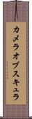 カメラオブスキュラ Scroll