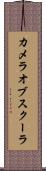 カメラオブスクーラ Scroll