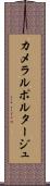 カメラルポルタージュ Scroll