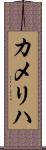 カメリハ Scroll