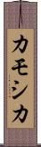 カモシカ Scroll