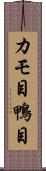 カモ目 Scroll