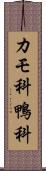 カモ科 Scroll