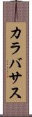 カラバサス Scroll