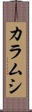 カラムシ Scroll
