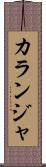 カランジャ Scroll