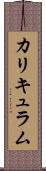 カリキュラム Scroll