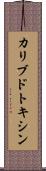 カリブドトキシン Scroll