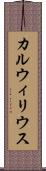 カルウィリウス Scroll
