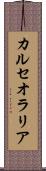 カルセオラリア Scroll