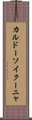 カルドーソイクーニャ Scroll