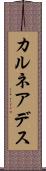 カルネアデス Scroll