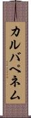 カルバペネム Scroll