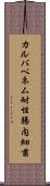 カルバペネム耐性腸内細菌 Scroll