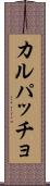カルパッチョ Scroll