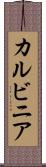 カルビニア Scroll