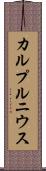 カルプルニウス Scroll