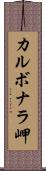 カルボナラ岬 Scroll