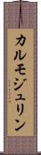 カルモジュリン Scroll