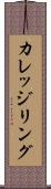 カレッジリング Scroll