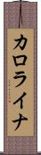 カロライナ Scroll