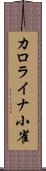 カロライナ小雀 Scroll