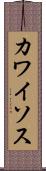 カワイソス Scroll