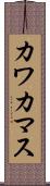 カワカマス Scroll