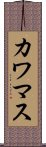 カワマス Scroll