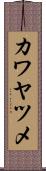 カワヤツメ Scroll