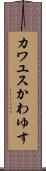 カワユス Scroll