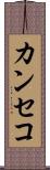 カンセコ Scroll