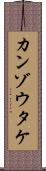 カンゾウタケ Scroll